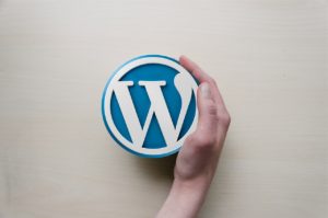 Webiloo Custom WordPress Plugins